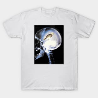 Bird brain T-Shirt